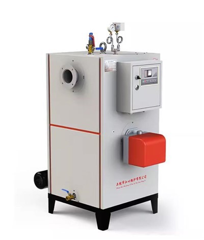 Kleine stoomgenerator